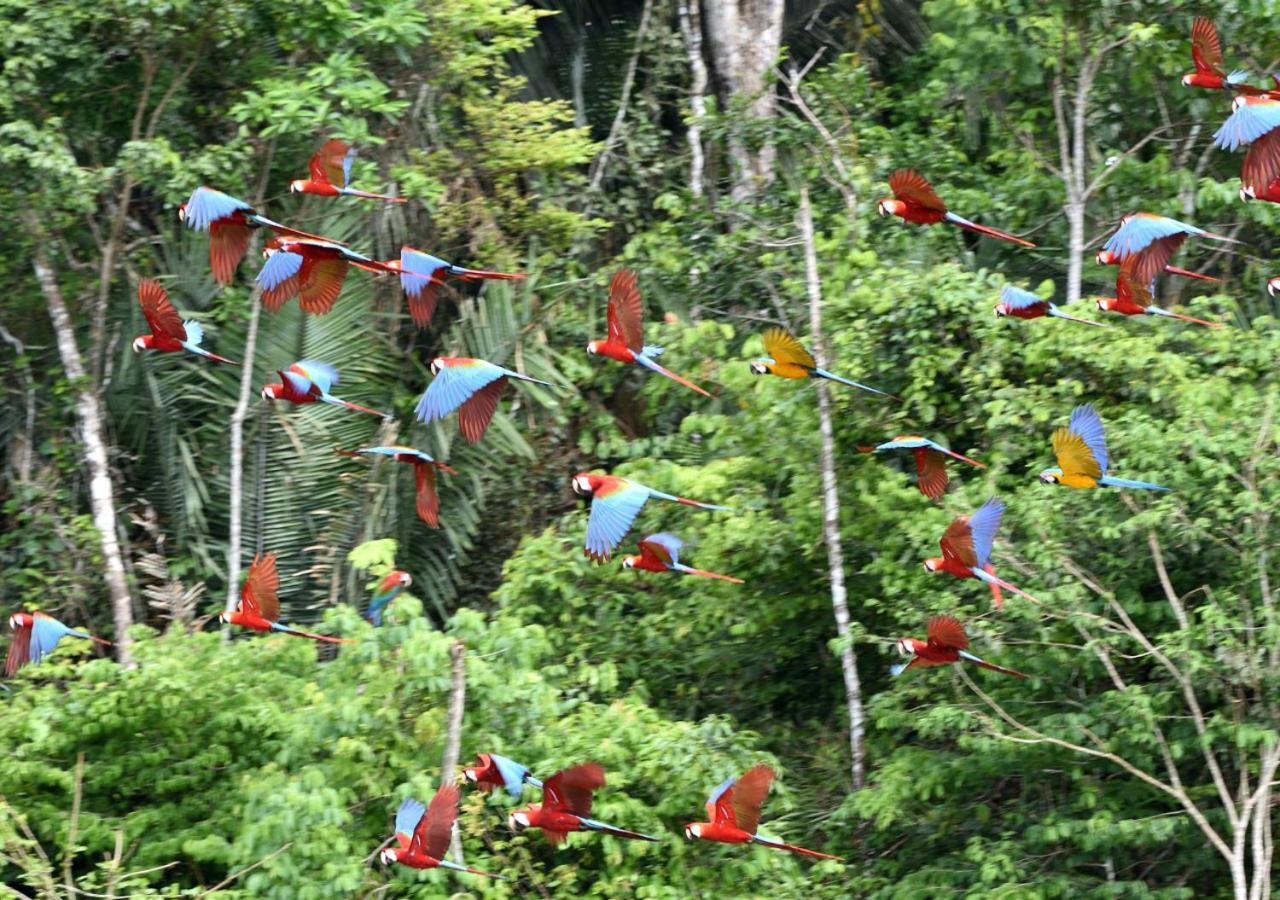 Refugio Amazonas Lodge Tambopata Eksteriør billede