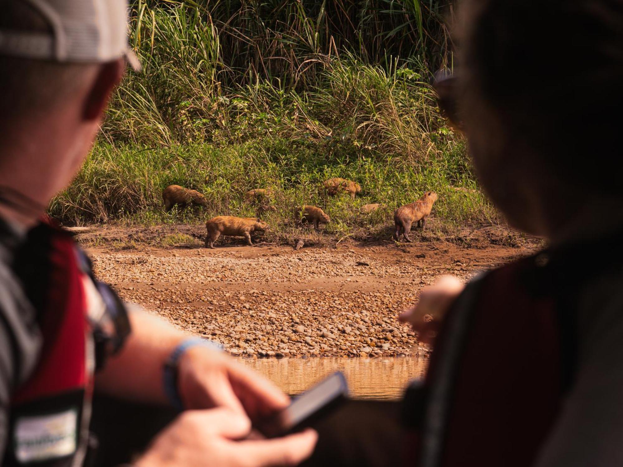 Refugio Amazonas Lodge Tambopata Eksteriør billede