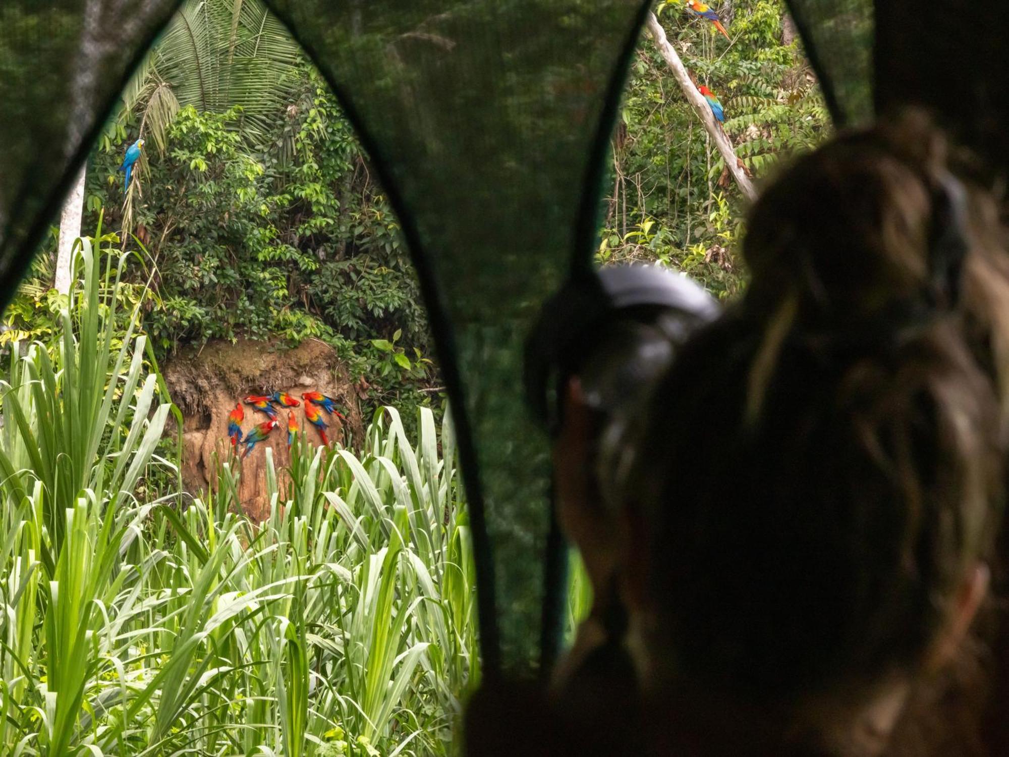 Refugio Amazonas Lodge Tambopata Eksteriør billede